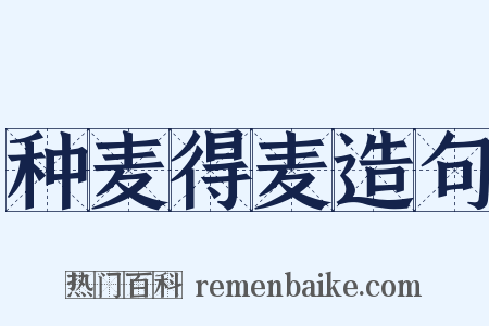 种麦得麦造句是什么意思的图片